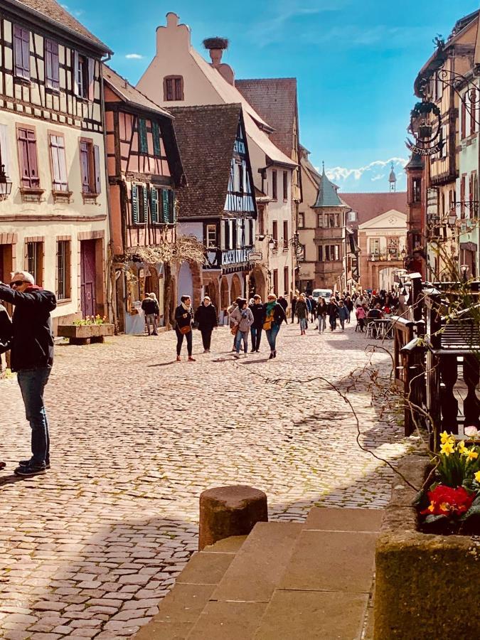 La Ruelle Alsacienne, Charme Alsacien Et Confort Moderne Olenevka Ngoại thất bức ảnh