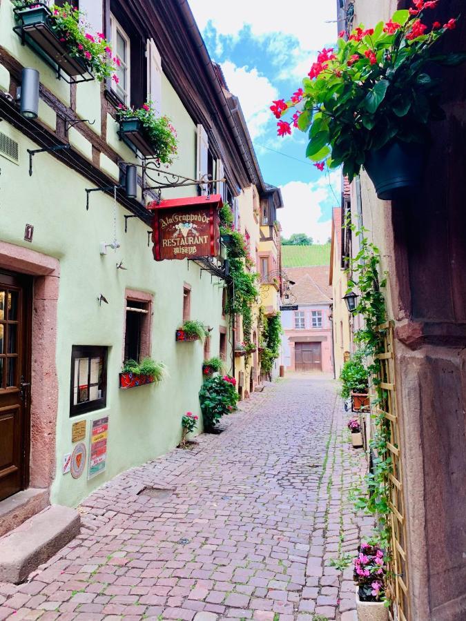 La Ruelle Alsacienne, Charme Alsacien Et Confort Moderne Olenevka Ngoại thất bức ảnh